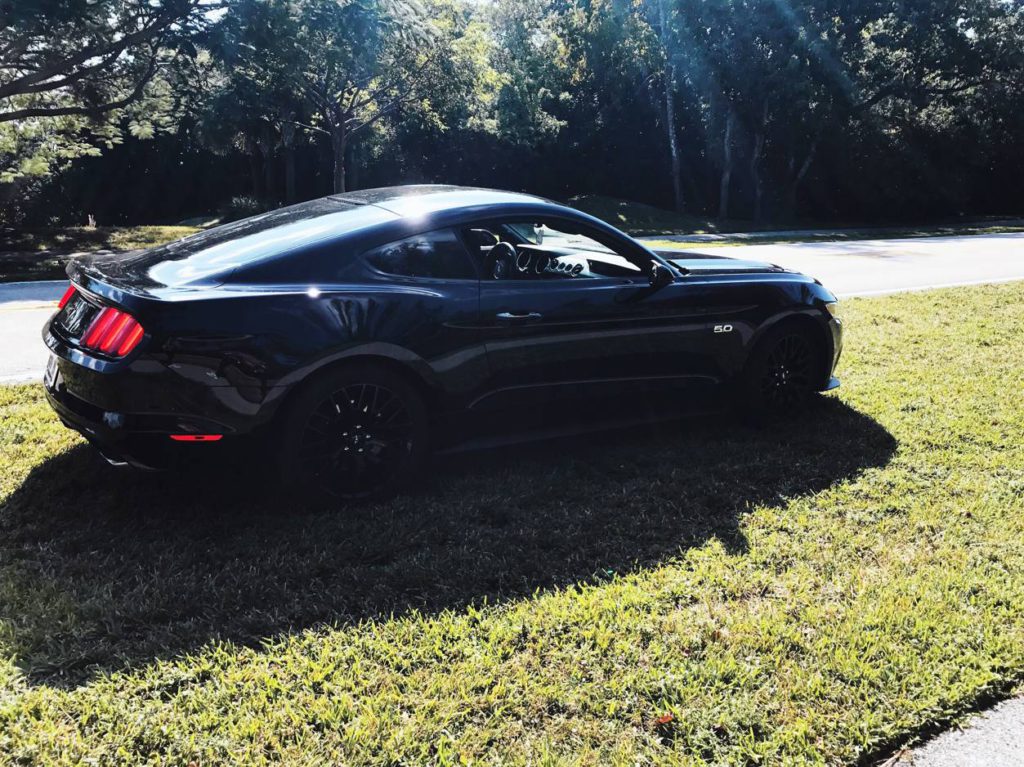 Car parked on grass